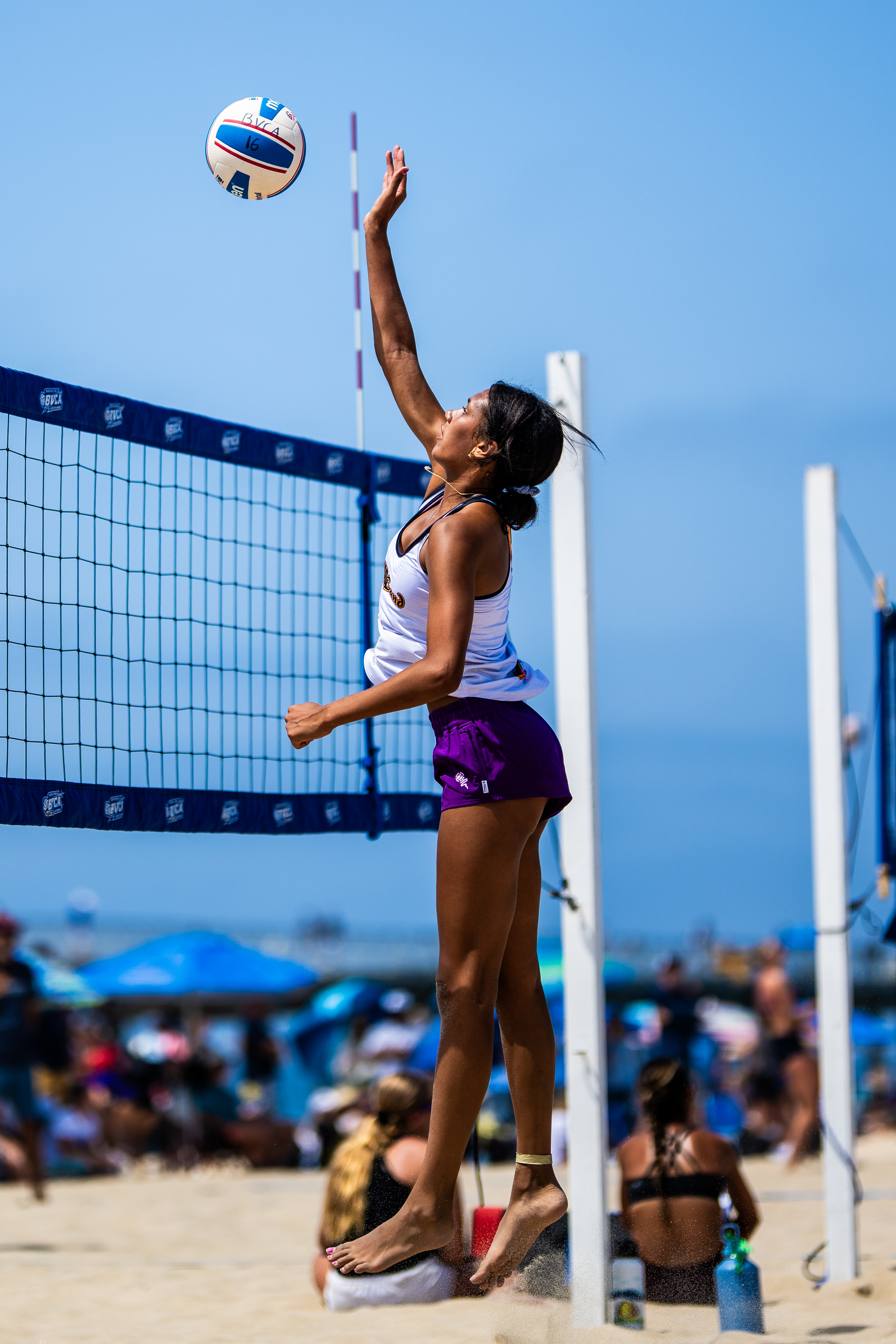 Madsand's Volleyball Life Tournament Listings, Results and More!