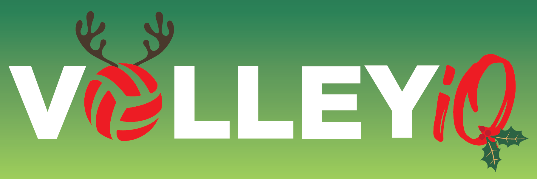 Volleyball Life