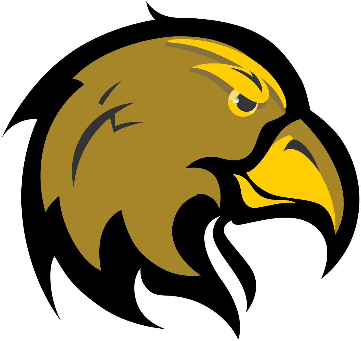 CBVB